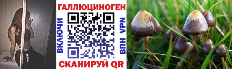 Галлюциногенные грибы ЛСД  купить наркоту  Ртищево 